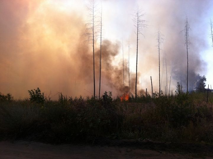 ВСУ спровоцировали еще один пожар в Валуйках