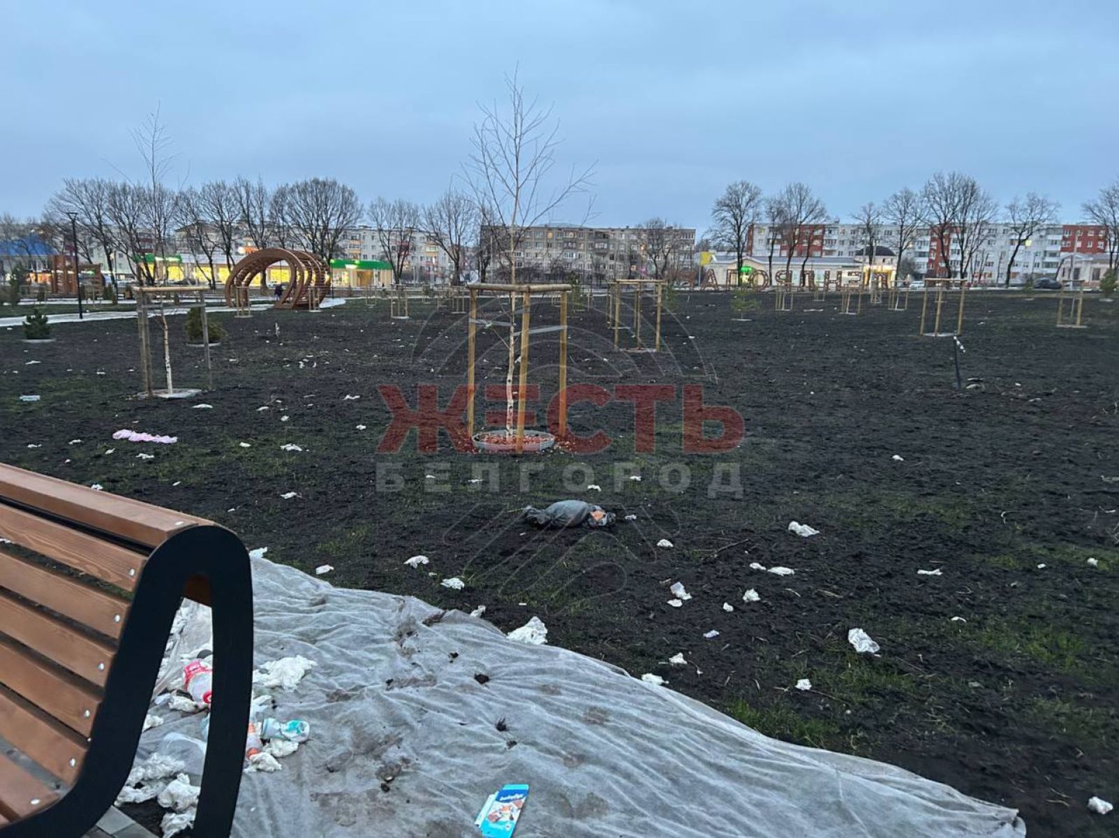 В дендропарке в Разумном образовалась свалка