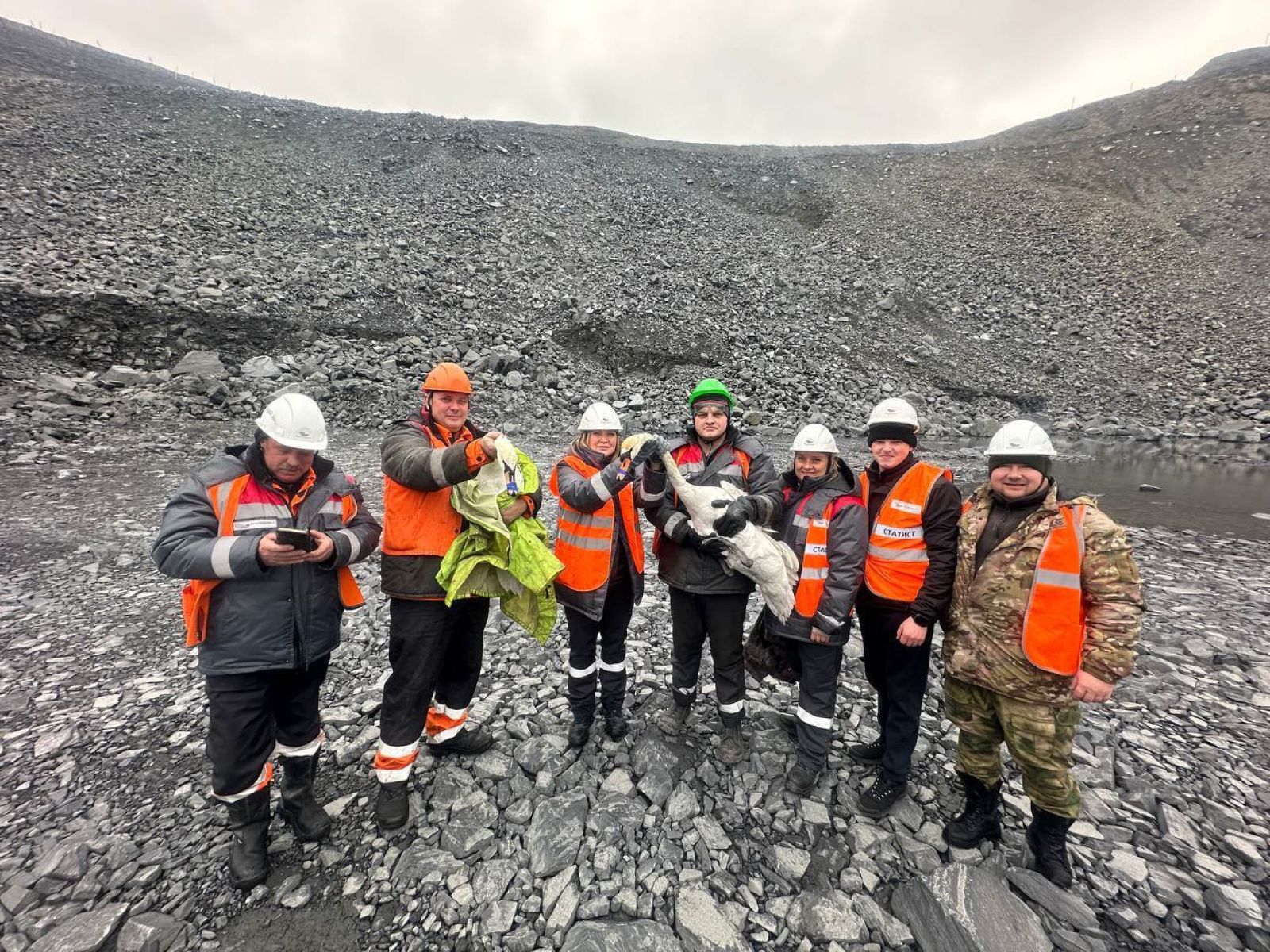 В Белгородской области пару лебедей спасли со дна карьера