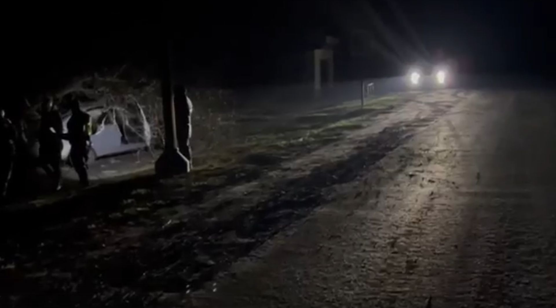 В Белгородской области 16-летняя девушка въехала на машине в дерево