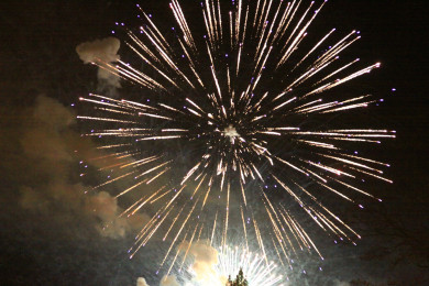 Салюту быть? Как отпразднуют 80-летие Победы в Воронеже 