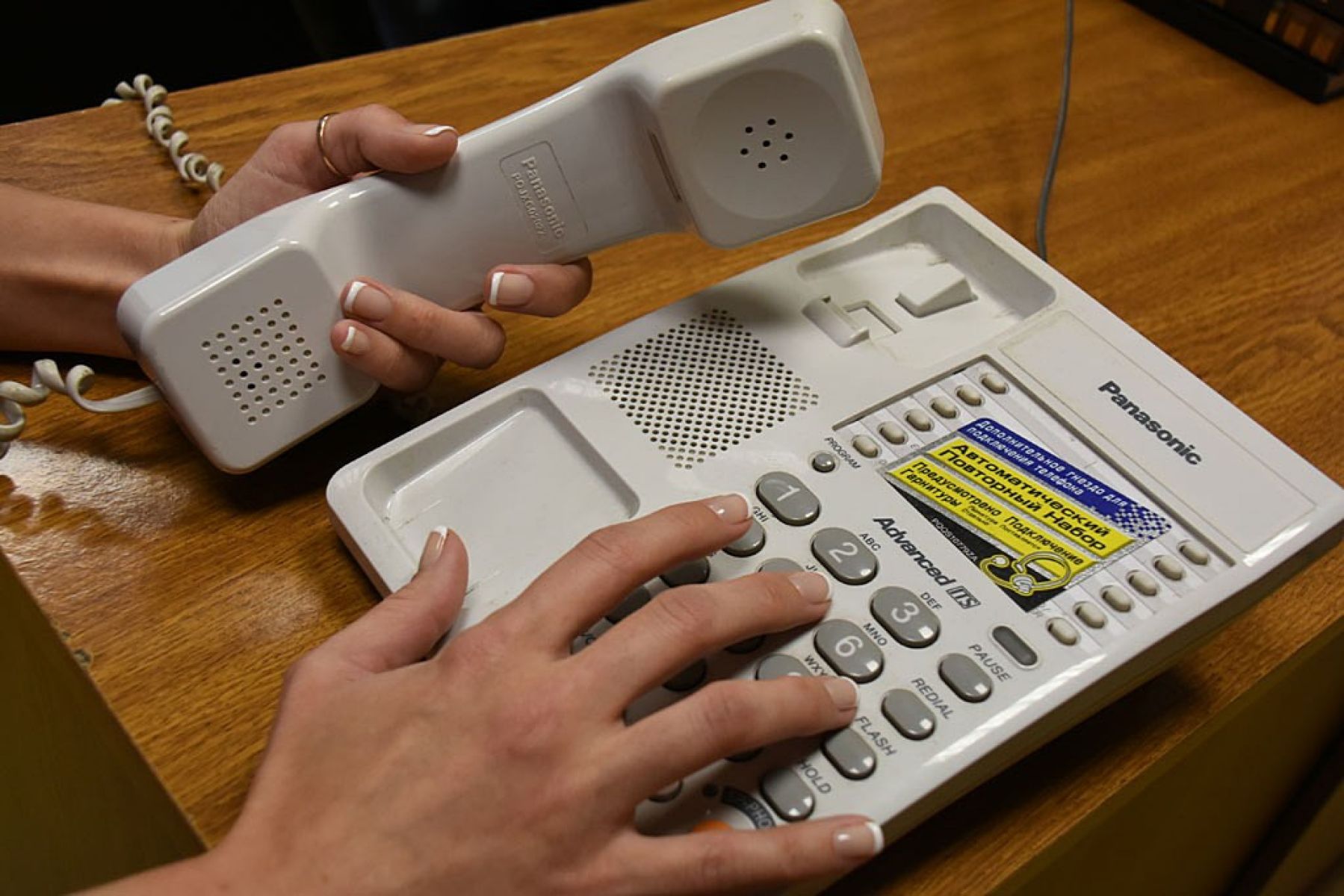 Краснояружцы могут оставить заявки на кормление домашних животных