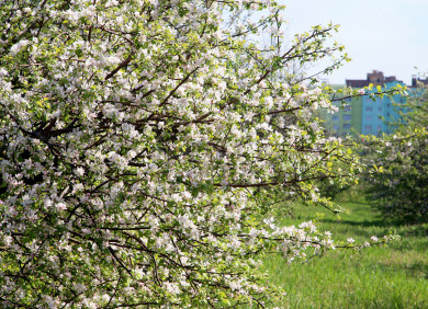 Нагрянет ли в Воронеж 20-градусное тепло в марте 