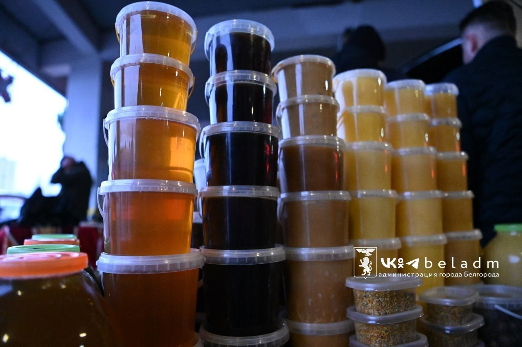 Бесплатные автобусы доставят белгородцев на продовольственную ярмарку