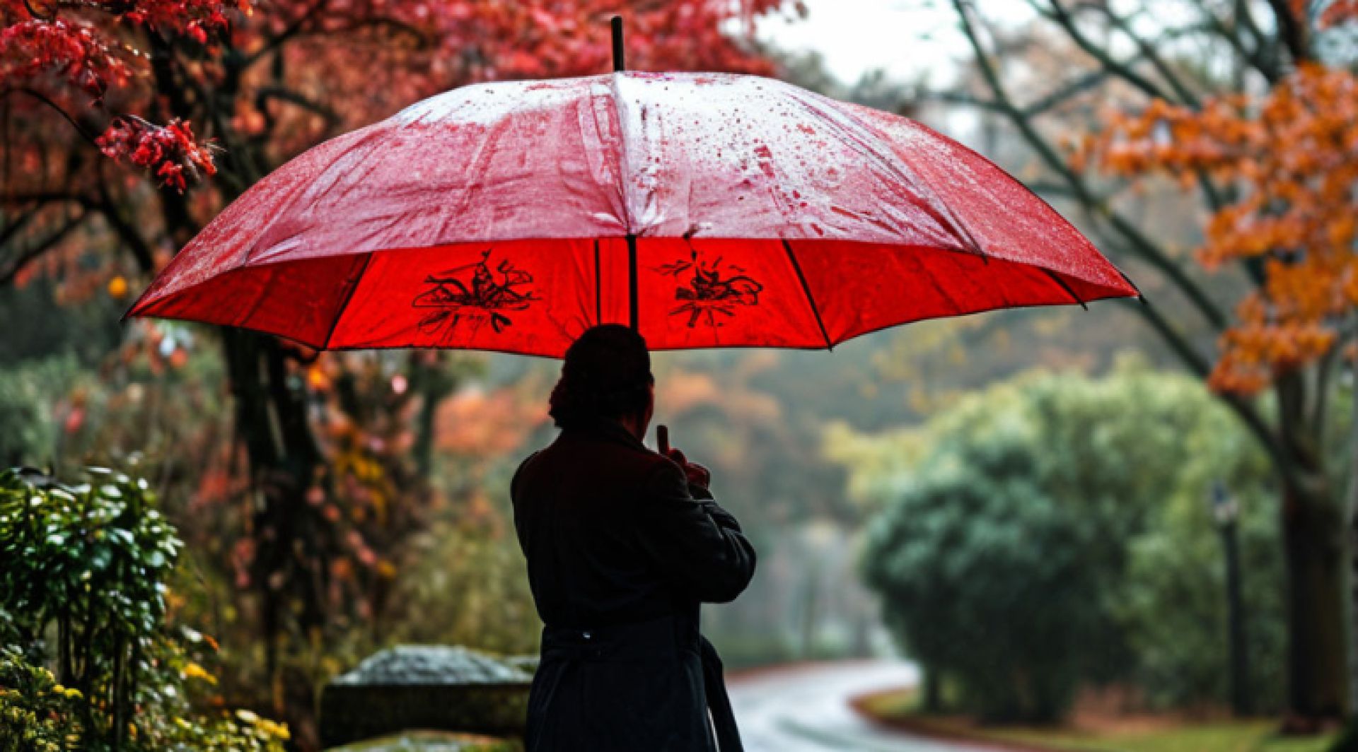 Заключительный день марта принесет в Курск дожди