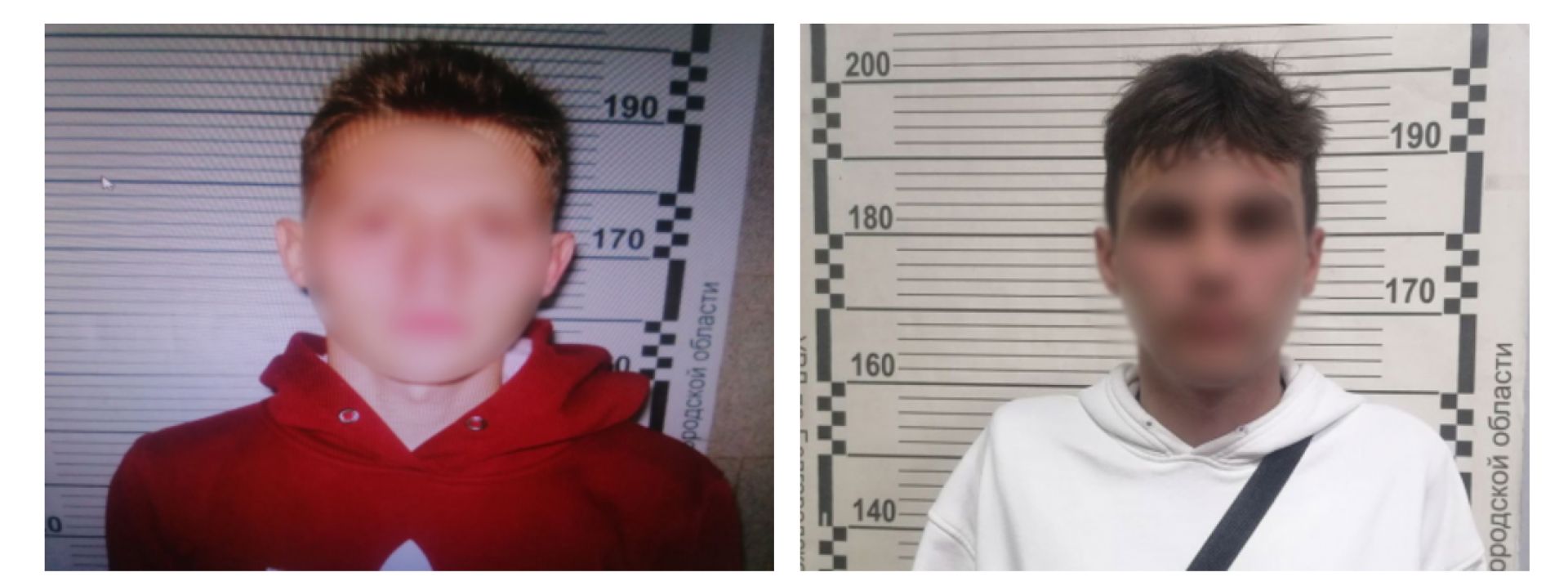 В Белгороде хулиганы пометили центральную улицу города