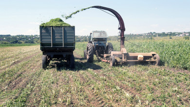Какой урожай и какие цены на продукты ждут воронежцев