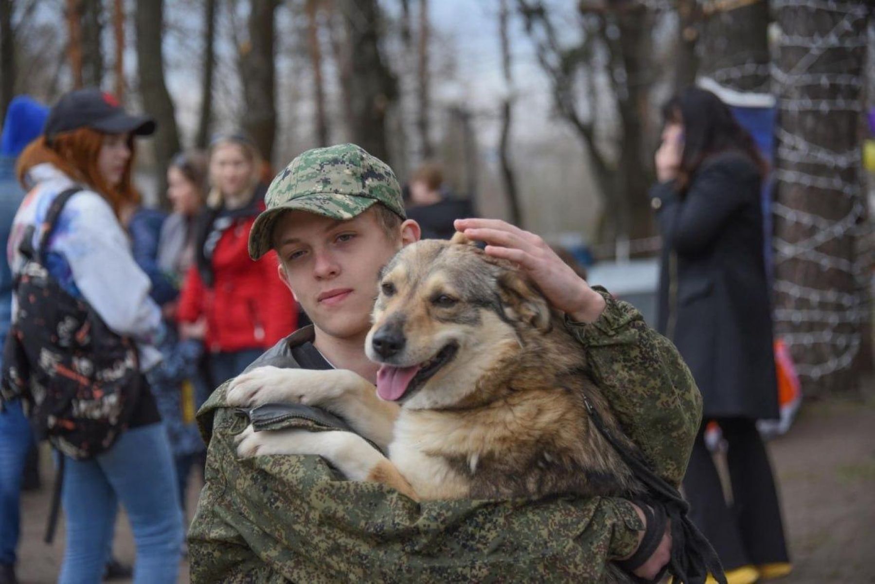 В Белгороде проведут выставку-раздачу бездомных собак