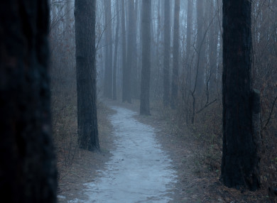 Рыжий мужчина пропал в Воронежской области