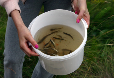 Какие ограничения на рыбалку введут в Воронежской области из-за нереста 