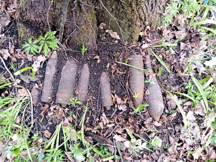 В Белгородской области обезвредили боеприпасы времен Великой Отечественной войны