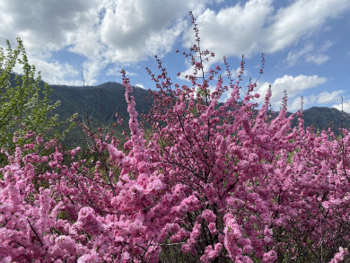 Летнее тепло возвращается? Воронежцам рассказали о погоде на рабочей неделе