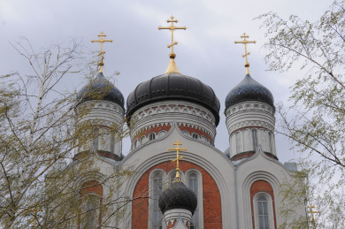 Сбежать с ящиком пожертвований пытался вор в Воронеже