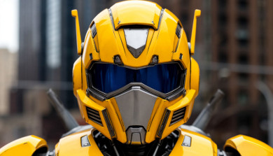 Необычный шлем похитил воронежец и избежал наказания