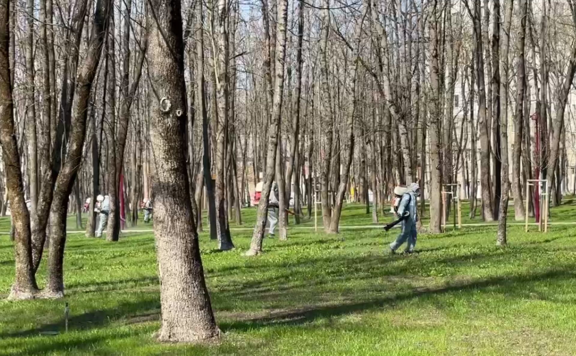 Спорткластер парка «Берега» и набережную обработают от клещей