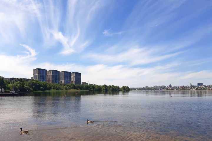 Страшная гибель женщины и обрушение потолка в школе. Главные новости Воронежа и области за 22 апреля