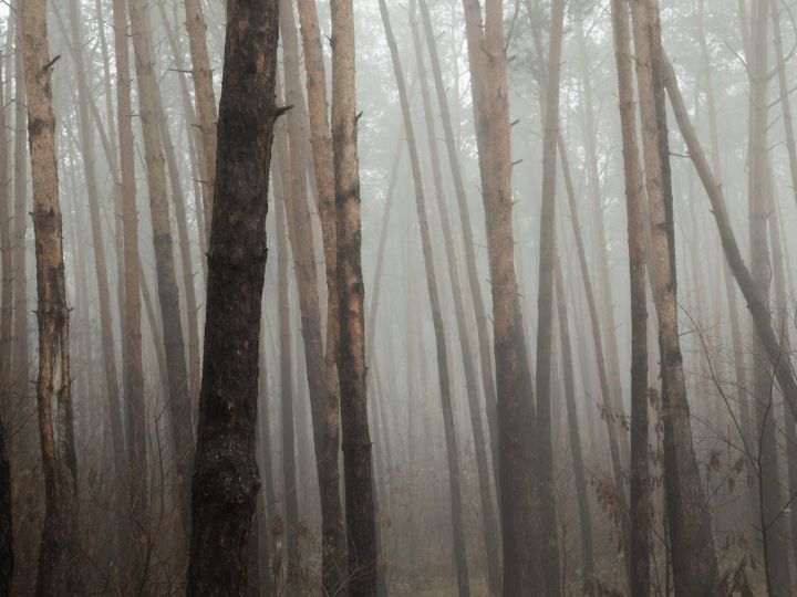 Опасное погодное явление накроет Воронежскую область