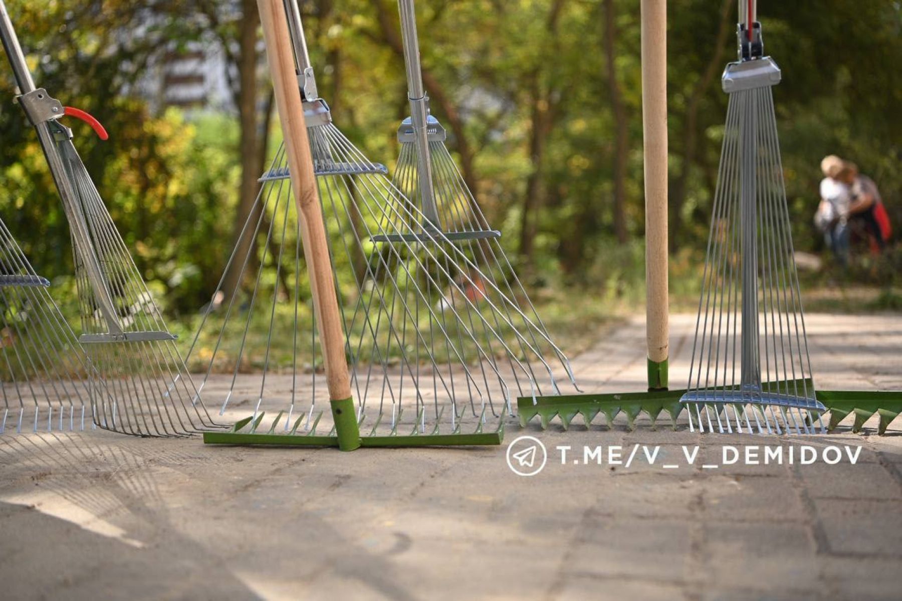 Жителей Белгорода приглашают на субботник