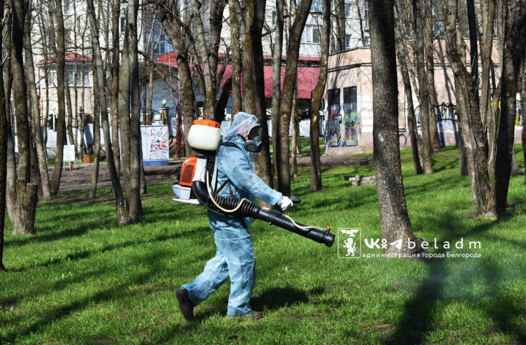 В Белгороде Армячий лог и два сквера на Харгоре обработают от клещей