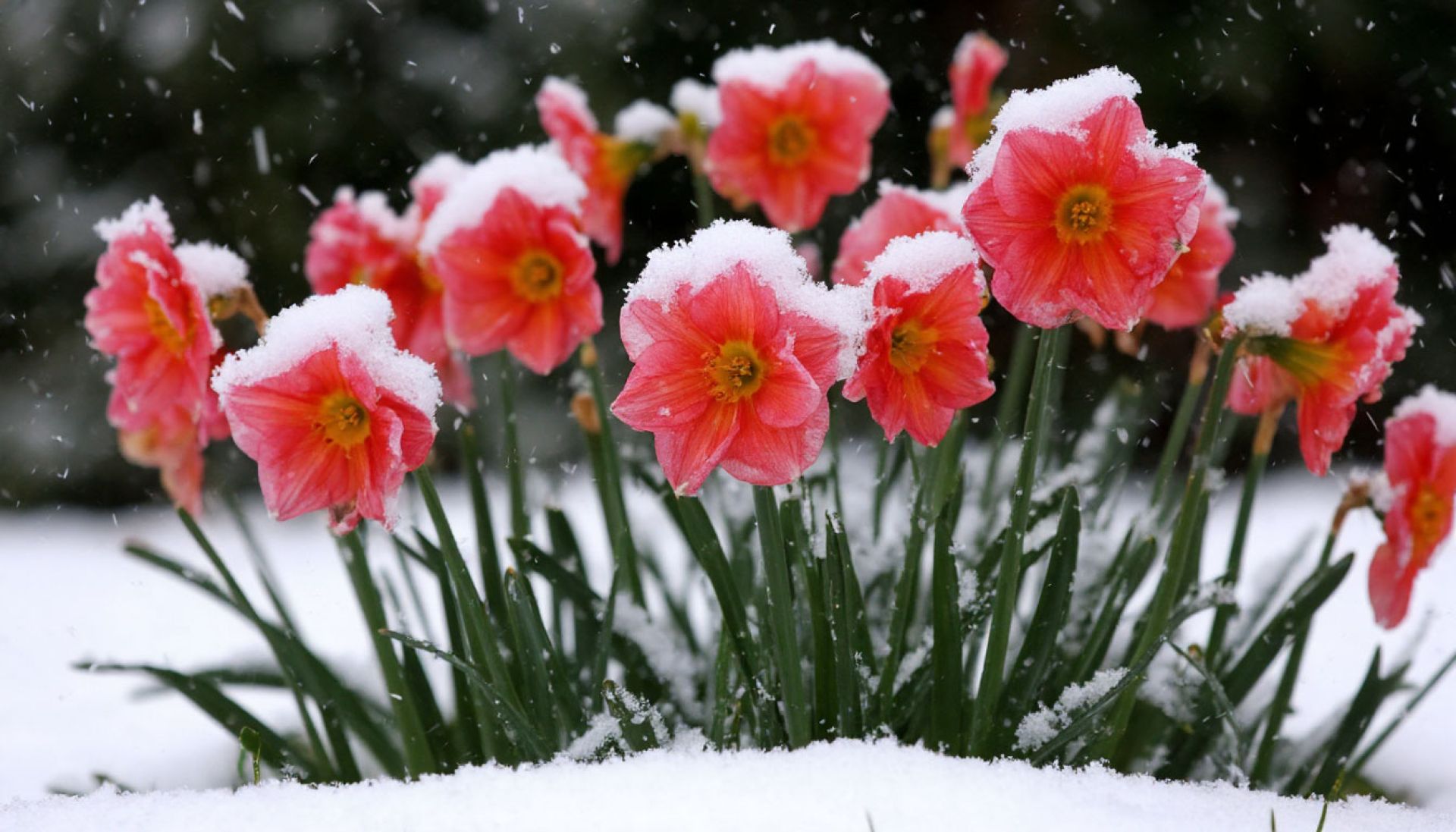 Опасное погодное явление надвигается на Воронежскую область