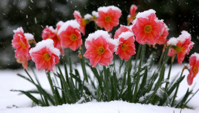 Опасное погодное явление надвигается на Воронежскую область