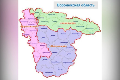Связаны ли «фейки» о депутате и новая схема одномандатных округов в Воронежской области?