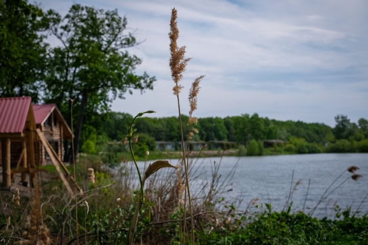 Забыть про дедлайны, послушать сверчков и сварить варенье из детства: почему так манит дача 