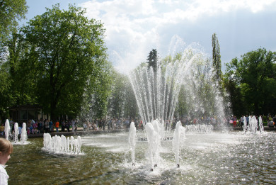 Воронежцам рассказали, как будут работать городские фонтаны 