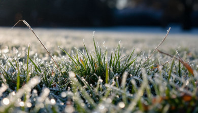 Штормовое предупреждение объявили в Воронежской области