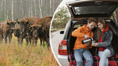 Как организовать семейный тур на четыре дня из Воронежа за 37 тысяч рублей 