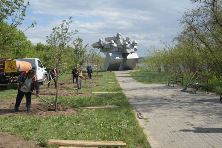 Депутаты команды ДСК высадили аллею Славы на Шиловском плацдарме