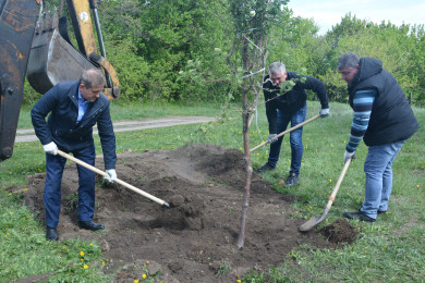 Воронежские депутаты высадили аллею Славы на Шиловском плацдарме