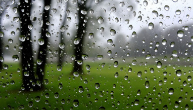 Дожди и потепление до +20 ожидают воронежцев в ближайшее время