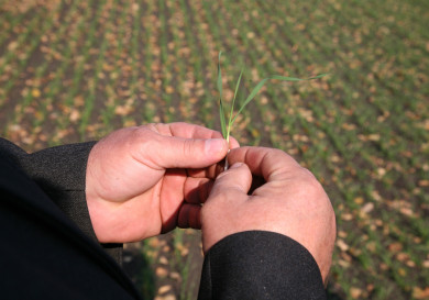 Режим ЧС вводят в Воронежской области 