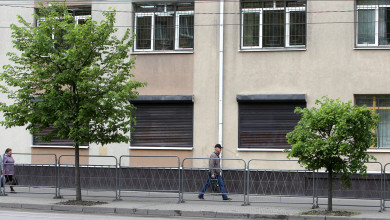 В Воронеже вырубят в 1,5 раза больше деревьев, чем посадят?