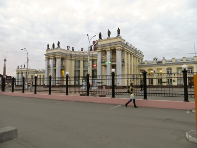 Преподаватель воронежского вуза напал на полицейского у вокзала