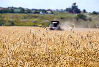 Режим ЧС ввели в Воронежской области