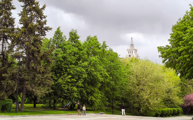 Прогноз погоды в Воронеже на понедельник, 19 мая 