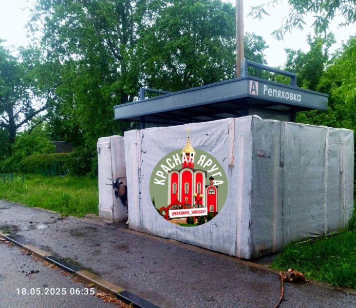 В Белгородской области козел из опасной зоны прятался в укрытии от громких звуков