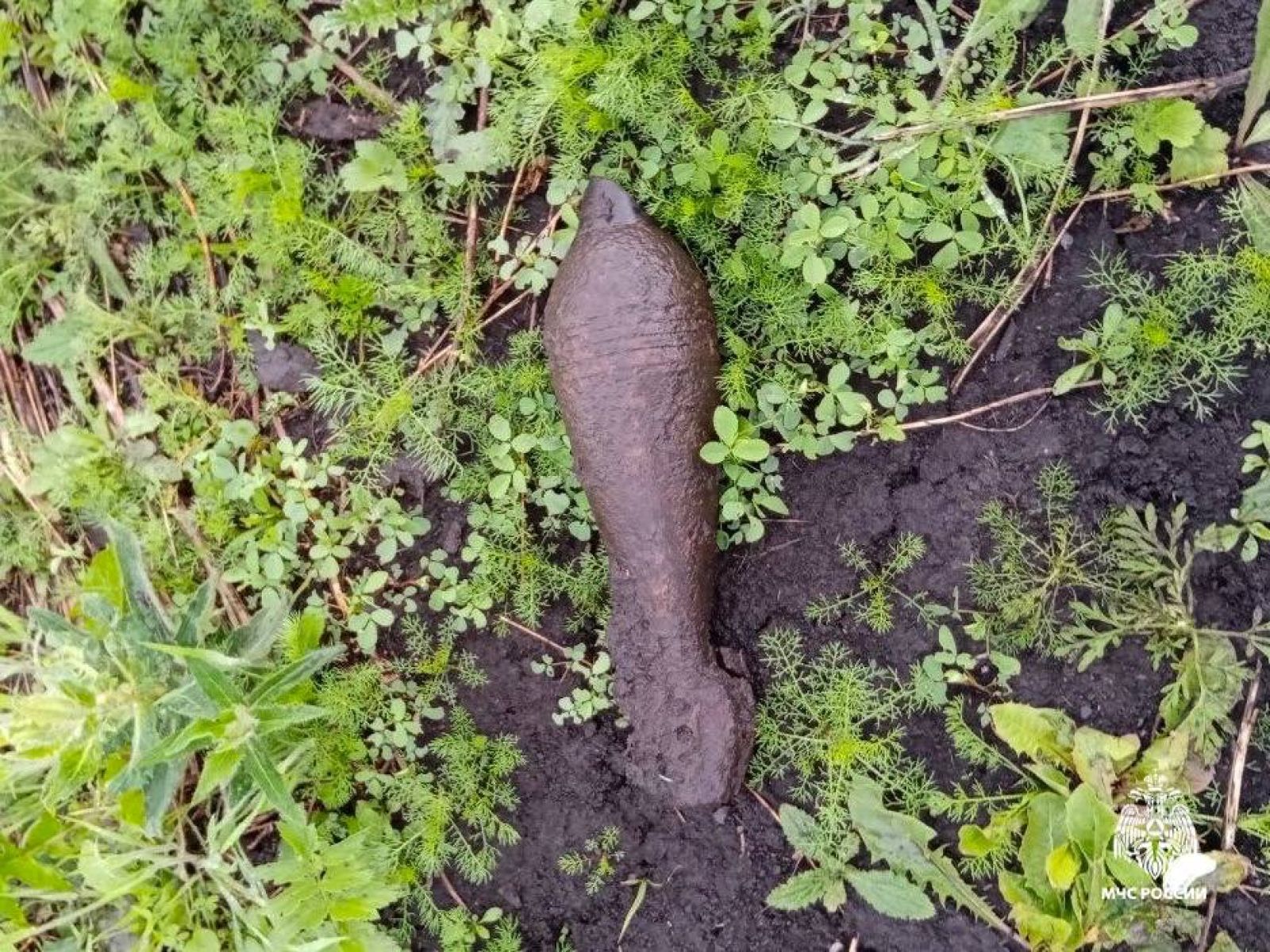 В Стрелецком обнаружили мину времен Великой Отечественной войны