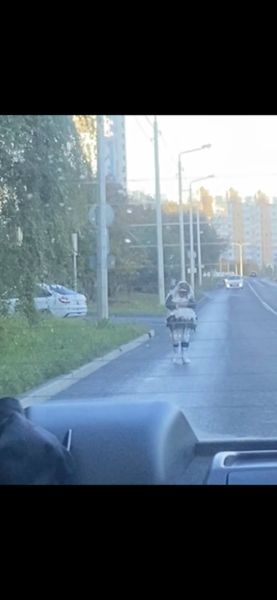 Белгородцы беспокоятся о душевнобольной женщине в пакетах