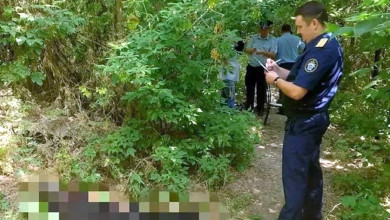 Воронежский грибник о страшной находке в лесу: «Смотрю — череп, чуть ниже шейные позвонки торчат»