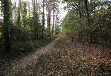 «У тех, кто ищет похищенного ребёнка, есть только три часа, чтобы его спасти»