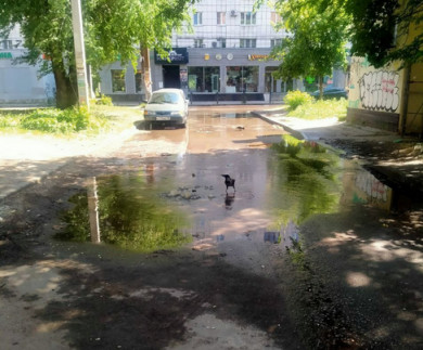 Общежитие ВГУ затопило фекалиями: санузел заблокирован