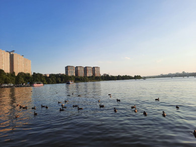 Прогноз погоды в Воронеже на субботу, 24 мая