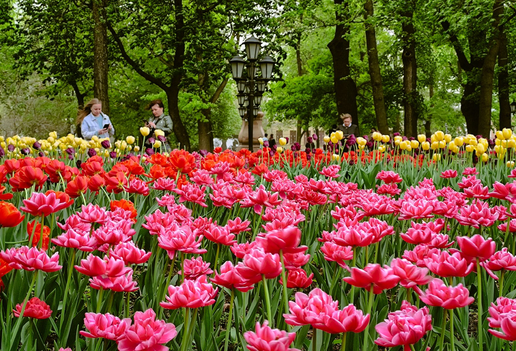 Заключительный понедельник мая принесет в Белгород &nbsp;летнее тепло