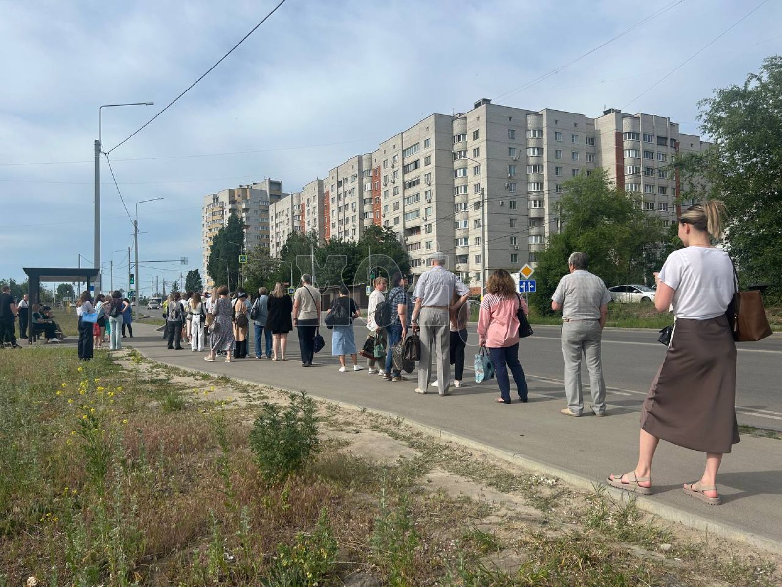 «Ждём по полтора часа!» Гигантскую очередь на автобус показали на фото в Воронеже&nbsp;