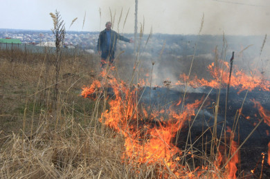 Шашлычников будут ловить с беспилотниками в Воронежской области 