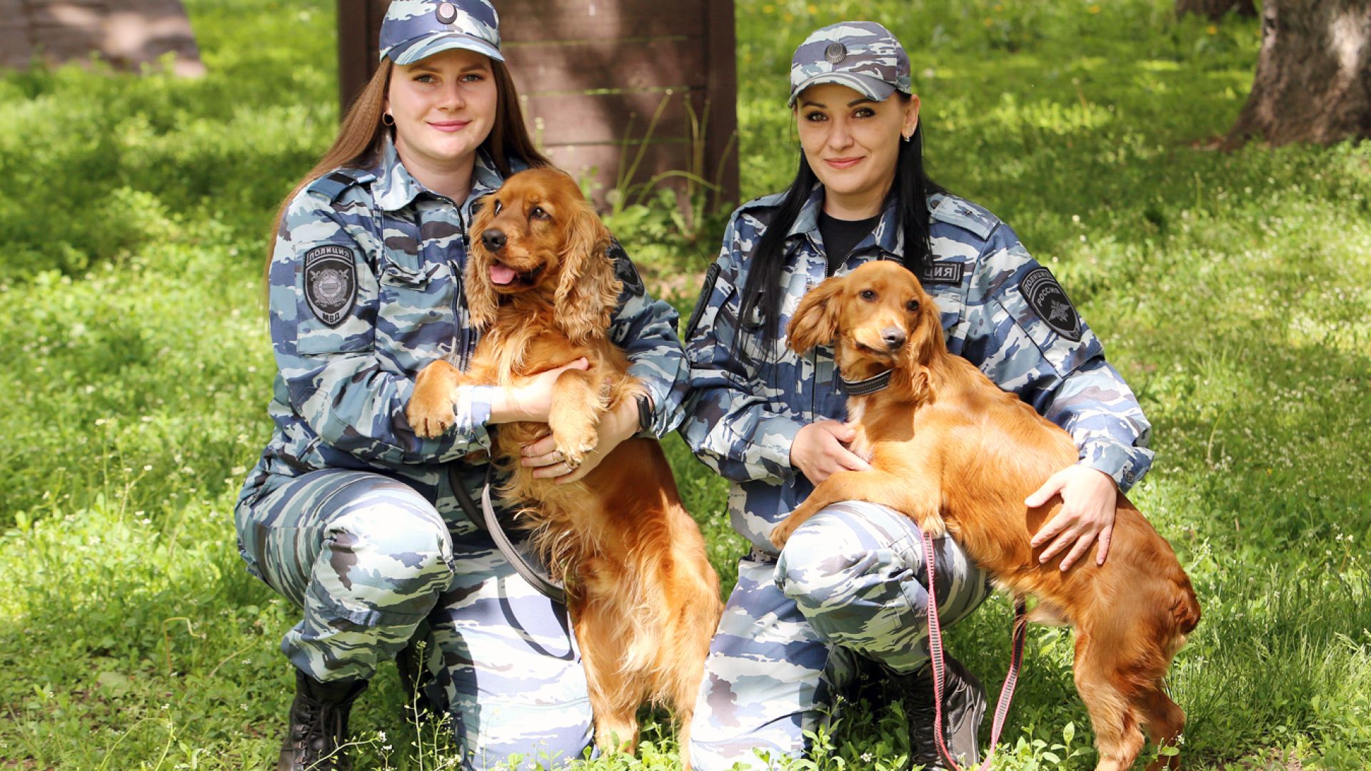 Как служебная собака выследила душегуба, расправившегося с пятью людьми в Воронежской области