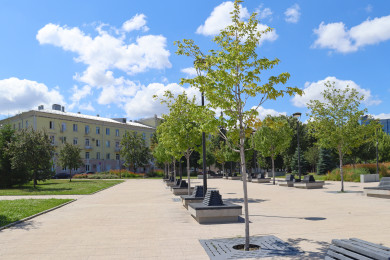 Прогноз погоды в Воронеже на воскресенье, 1 июня